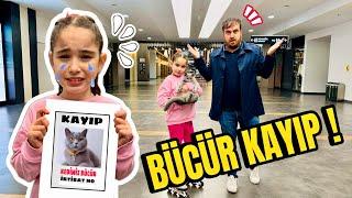 BÜCÜR AVM DE KAYBOLDU !! HER YERDE ONU ARIYORUZ !! ELİF SİNEM ÇOK ÜZGÜN !!