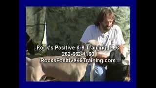 Rocks Positive K9 Training