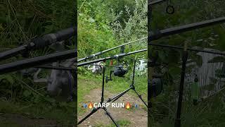 Carp Run  #carpfishing #carpruncompilation #carpfishinguk #fishinglife #carp #fishinguk