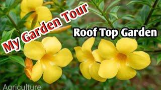 My Garden Tour|Flowering Trees and Outdoor Plants to Create A Perfect Garden|Rooftop Garden|ছাদবাগান