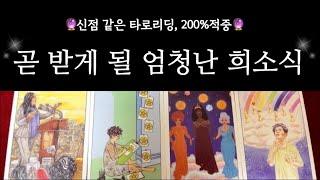 [타로]곧 당신을 활짝 웃게 만들 강력한 희소식이에요