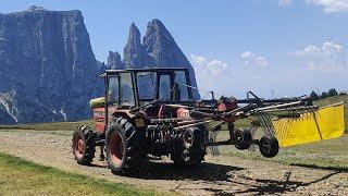 | Landwirtschaft trifft auf Landschaft | Heuernte auf über 2000 m.ü.A