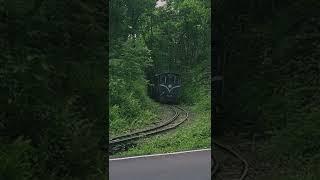 Darjeeling  Toy Train