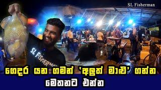 The Hottest Fresh Seafood Prices in Negombo Night Fish Market, Sri Lanka