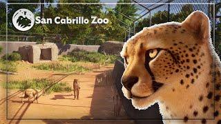  Realistic Cheetah (+Dog!?) Habitat Speedbuild | Planet Zoo Sandbox Series