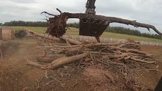 Volvo excavator using 12ft grader blade after cleaning up dangerous Gumtree site of damaged tree's