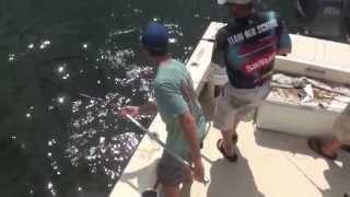 HOW TO CATCH STRIPED BASS ON THE CHUNK WITH A LITTLE DANCING, AND A KIDCOCHIESE MUGGING