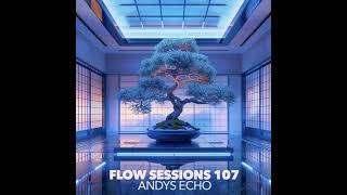 Flow Sessions 107 - Andy's Echo live