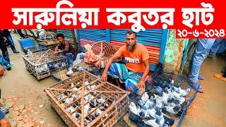 সারুলিয়া কবুতর হাট ২০-৬-২০২৪ | kobutor hat 2024 | pigeon market in bangladesh | Saroliya kobutor hat