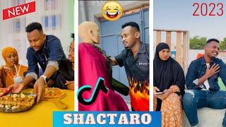 TIKTOK SOMALI SHACTARO || BEST OF MURSAL JANUARY 2023