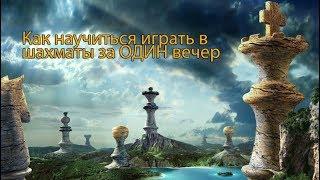 Шахматы с жориком.