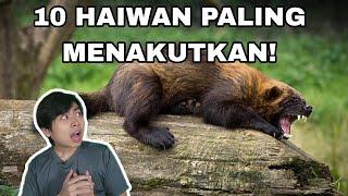 10 Haiwan Paling Menakutkan Di Dunia!