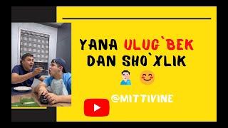 Mittivine | Yana ULUGE`BEK dan sho`xlik   #mittivine #mittime #littelar