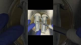 Tissue Transfer - Propagation