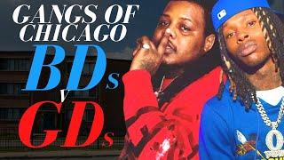 Gangs of Chicago - BDs v GDs