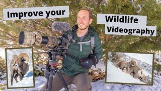 Improve your Wildlife Videography, how to get smoother Wildlife videos. Basics of using a Fluid Head