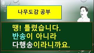 다행송이라는 소나무는 어떤 나무일까?