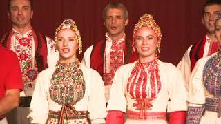 LADO (National Folk Dance Ensemble of Croatia) special tribute Tony Shay (2012)