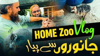 Home Zoo Mufti Tariq Masood | Mufti Tariq Masood Speeches 