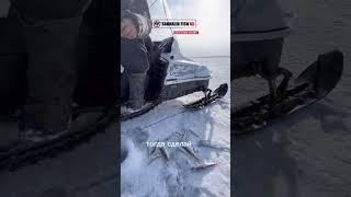 Анекдот про золотую рыбку  #сахалин
