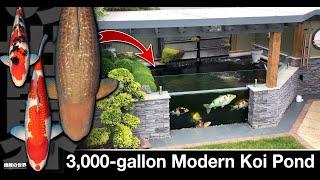 Modern Koi Pond - 3,000 gallons