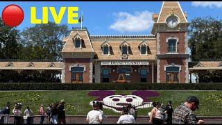  LIVE: Disneyland Rides, Food, California Adventure and Fun Merchandise February 2024