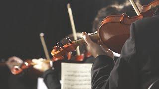String Quartet for hire, Firebird Events Ltd