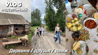 НЕДЕЛЬНЫЙ VLOG / ДВИЖ С ДРУЗЬЯМИ в ДЕРЕВНЕ / ОТПУСК / ТАШЕТКАНЫ - ТЕВРИЗ