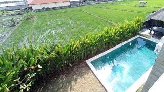 Dijual Villa di Kerobokan Bali | Ricefield View |Sertifikat Hak Milik | Harga Rp 3,5 Milyard | 3 Bed