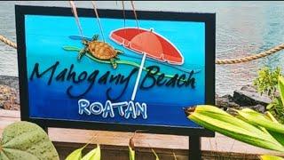 Mahogany Bay / Isla Roatan / Honduras