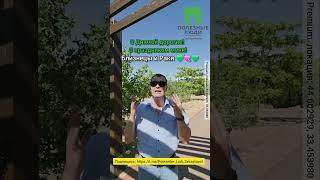 #влогнедвижимостькрым #полезныелюдисевастополь Сезону 2025 в Крыму и Легендарном быть!