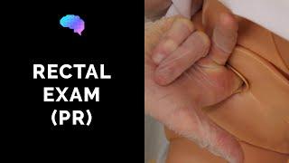 Rectal Examination (PR) - OSCE Guide | UKMLA | CPSA