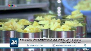 Nhiều nông sản tiềm năng Việt Nam có lợi thế vào EU | VTV24