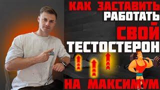 Как заставить работать СВОЙ тестостерон на МАКСИМУМ!?