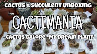 Cactus and Succulent Unboxing from Cactimania | plant gift | july28