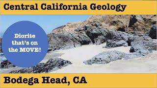 Central California Geology | Bodega Head