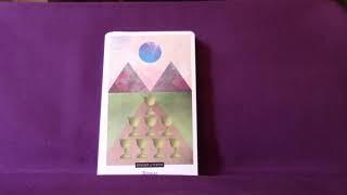 The Field Tarot Full Flip Through