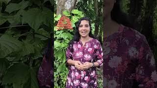 നമുക്ക് ഭാവിയിൽ health problems വരുമോയെന്നറിയണോ?