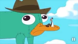 The Best "A Platypus? PERRY THE PLATYPUS!?" Compilation