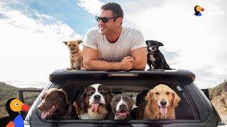 Man and SIX Rescue Dogs Travel The Country In His RV | The Dodo