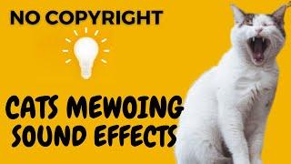 Cat Meow Sound Effects | No Copyright Sounds