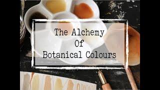 The Alchemy of Botanical Colors
