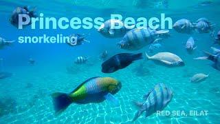 Snorkeling, Princess Beach Eilat, Israel