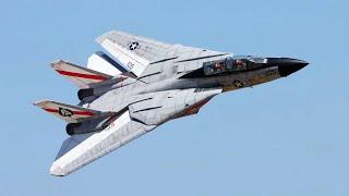 F14 XXL Mega Wing: Jaw-dropping Swept Wing Flight!