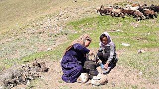 Daily Routine Village Life in Afghanistan | Nomadic Girls in Mountains