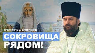 Блажен народ, у которого такие правители! Отец Андрей Ткачёв