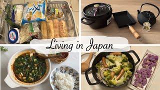 japan daily vlog | new toys in my kitchen  Iwachu Nanbu Tetsubin & Staub Cocotte