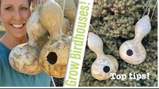 You Can Turn Gourds Into Birdhouses - (TIPS, TRICKS & IDEAS To Keep It Simple In this Video!)