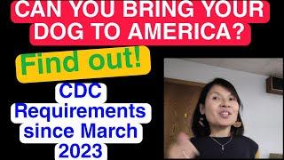 CAN YOU BRING YOUR DOG TO AMERICA?WHAT ARE THE LATEST CDC REQUIREMENTS FOR 2023?