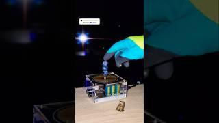 🫐 Project - blueberry power #experiment #teslacoil #physics #shorts